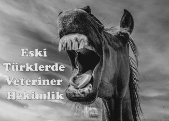 Eski Türklerde Veteriner Hekimlik