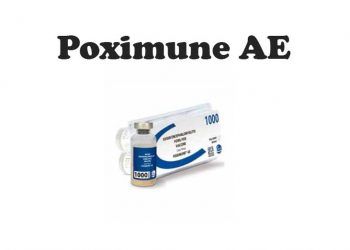 Poximune AE