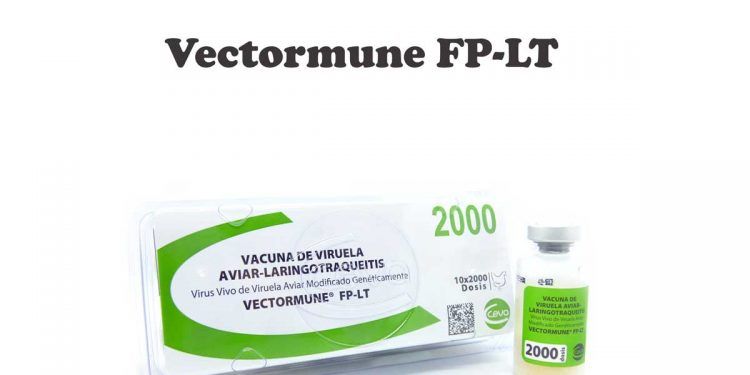 Vectormune FP-LT