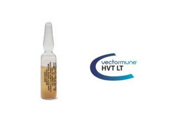 Vectormune HVT LT