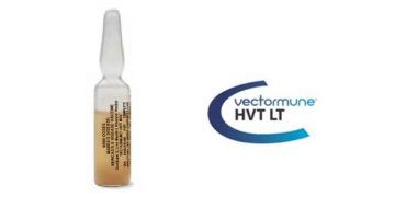 Vectormune HVT LT