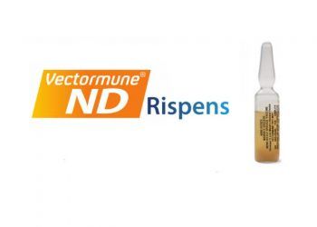 Vectormune ND Rispens