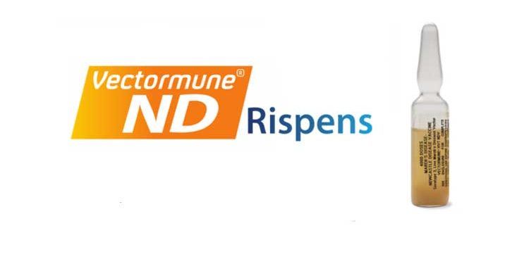 Vectormune ND Rispens