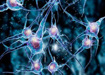 Viral Vektör Nedir?