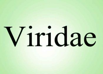 Viridae Nedir?