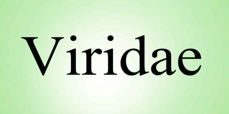 Viridae Nedir?