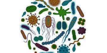 Disbiosis Bağırsak Sağlığını Etkiler