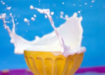 İnek Sütünde Somatik Hücre Sayısı