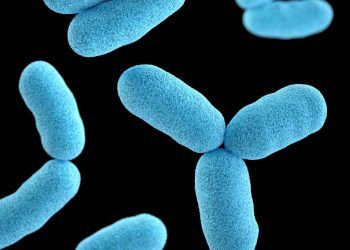 Viral Enteritisler Nedir?