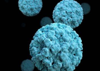 Viral İnterferens Nedir?