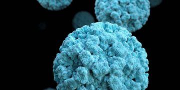 Viral İnterferens Nedir?