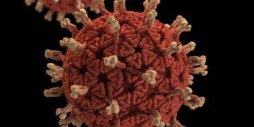 Viral Sinerjizim Nedir?