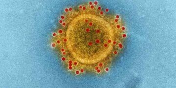 Viral Süper Enfeksiyon Nedir?