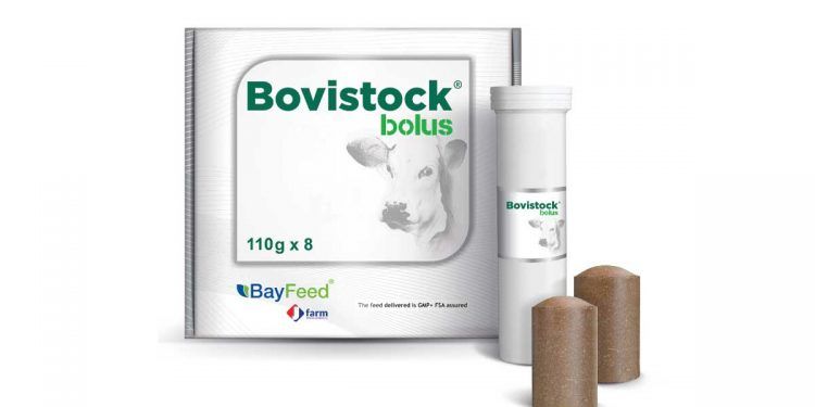 Bovistock Bolus