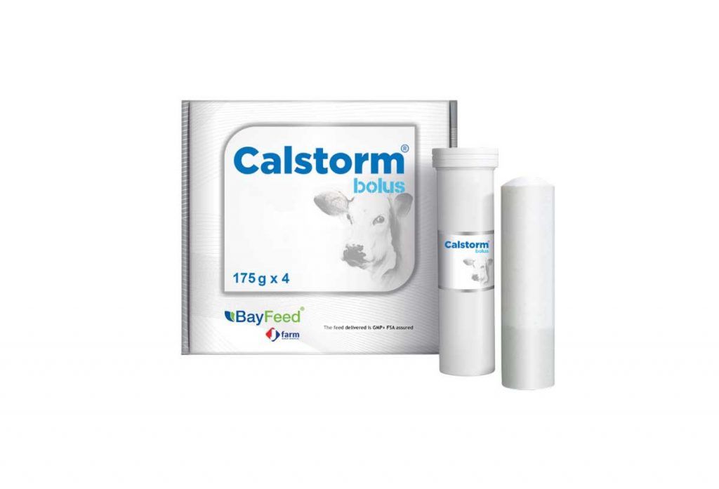 Calstorm Bolus