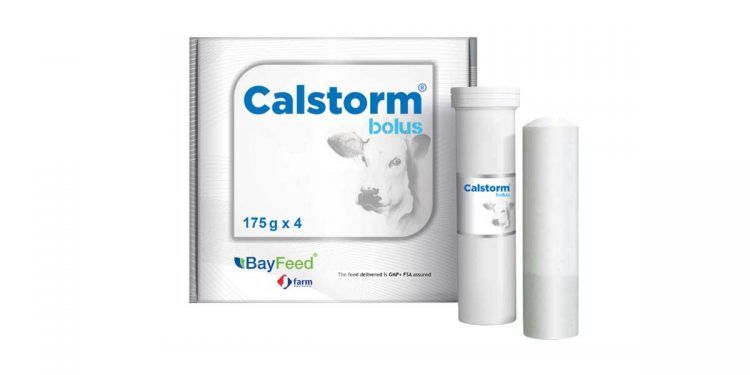 Calstorm Bolus