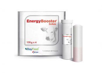 Energy Booster Bolus