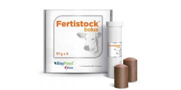 Fertistock Bolus
