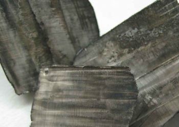 Lityum Noksanlığı ve Zehirlenmesi