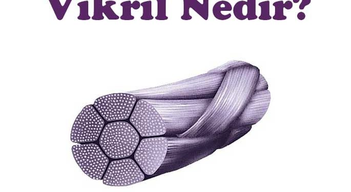 Vikril Nedir?