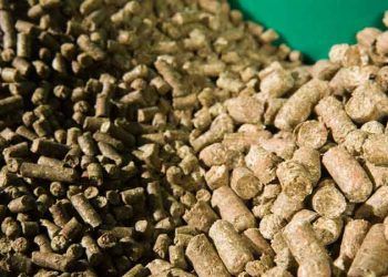 Uygulamalı Veteriner Androloji ve Dondurulmuş Semen (Sperma) Teknolojisi