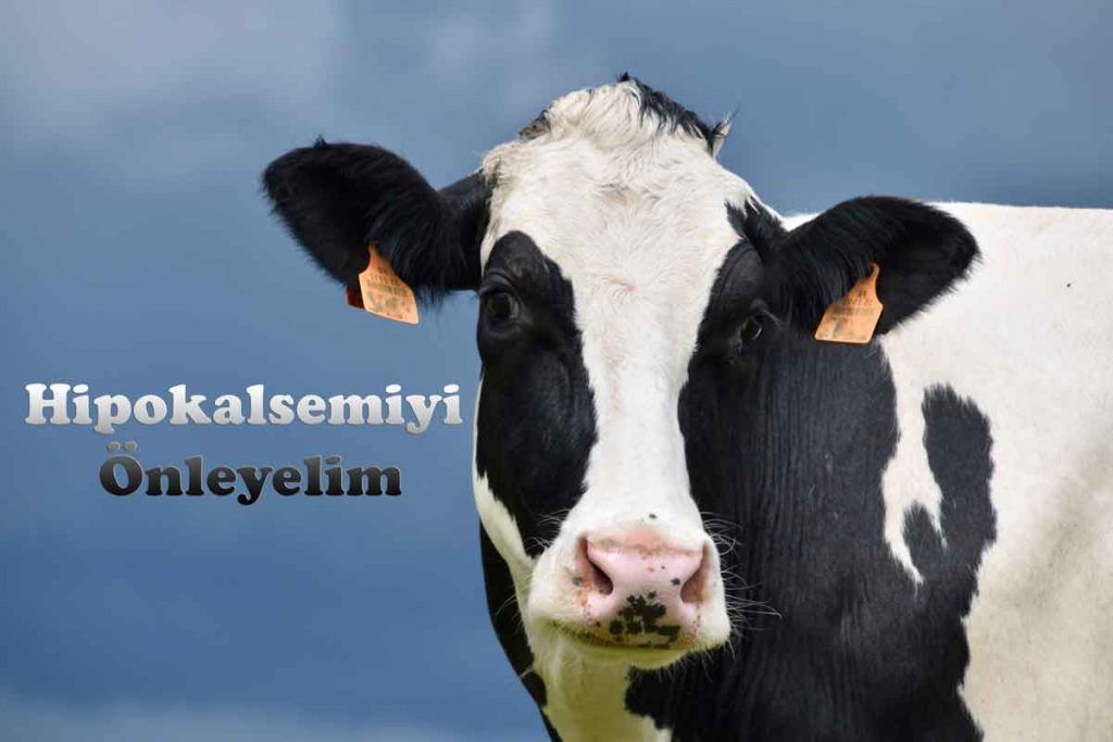 Hipokalsemiyi Önleyelim