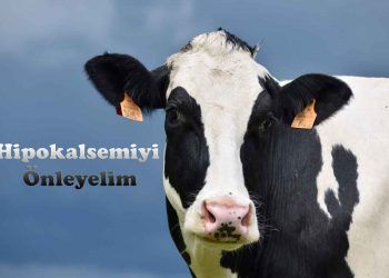Hipokalsemiyi Önleyelim
