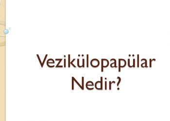 Vezikülopapülar Nedir?