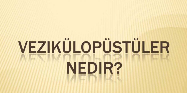 Vezikülopüstüler Nedir?