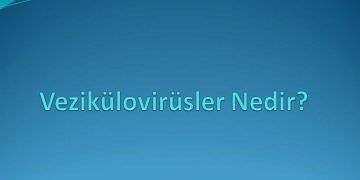 Vezikülovirüsler Nedir?