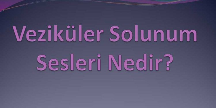 Veziküler Solunum Sesleri Nedir?