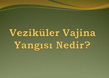 Veziküler Vajina Yangısı Nedir?