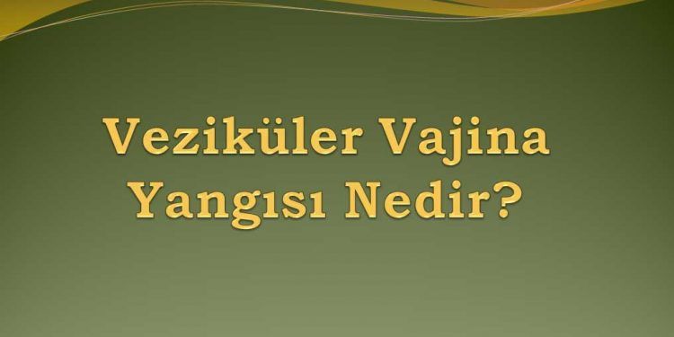 Veziküler Vajina Yangısı Nedir?