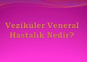 Veziküler Veneral Hastalık Nedir?