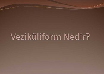 Veziküliform Nedir?