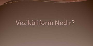 Veziküliform Nedir?
