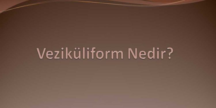 Veziküliform Nedir?