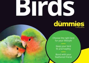 Yeni Başlayanlar İçin Kuşlar