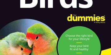 Yeni Başlayanlar İçin Kuşlar