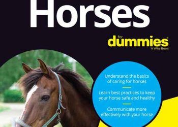 Yeni Başlayanlar İçin Atlar