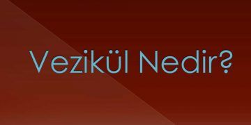 Vezikül Nedir?