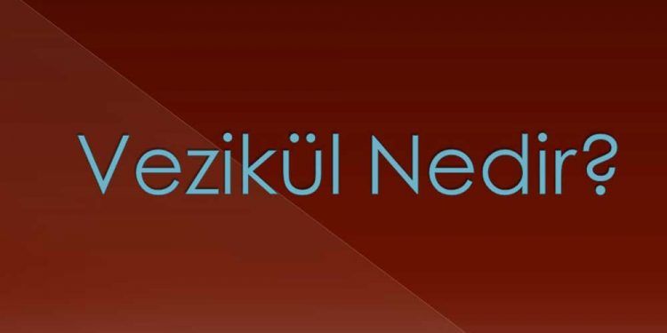 Vezikül Nedir?