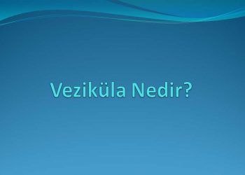 Veziküla Nedir?