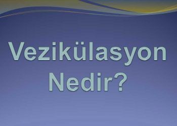Vezikülaris Nedir?