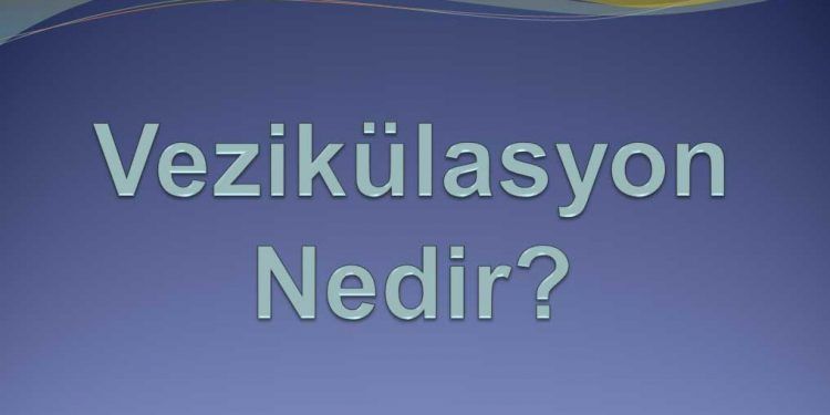 Vezikülaris Nedir?