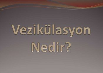 Vezikülasyon Nedir?