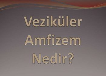 Veziküler Amfizem Nedir?
