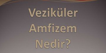 Veziküler Amfizem Nedir?