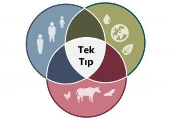 İnsan, Hayvan ve Çevre Sağlığının Korunmasında Tek Tıp Olgusu