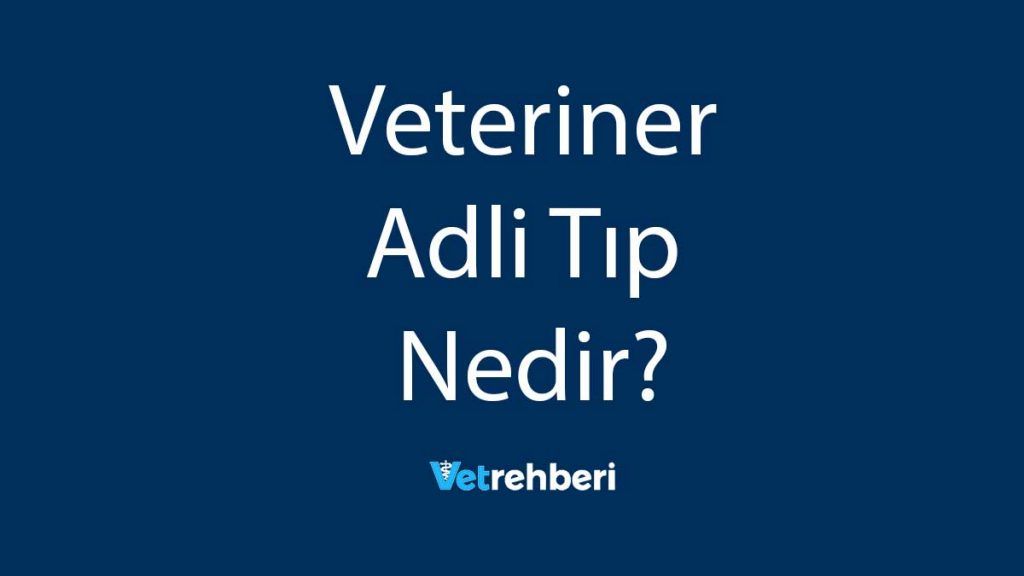 Veteriner Adli Tıp Nedir?